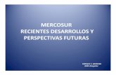 MERCOSUR RECIENTES DESARROLLOS Y ......(8) Suspensión de Paraguay en Mercosur 24 JUL 1998: Protocolo de Ushuaia (Mercosur + Bolivia y Chile) • Art. 4: “En caso de ruptura del
