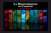 La Biodiversidad en Campeche: estudio de estadoetzna.uacam.mx/epomex/publicaciones/biodiversidad/Bio...El Gobierno del Estado de Campeche, la Comisión Nacional para el Conocimiento