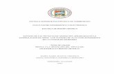 ESCUELA SUPERIOR POLITÉCNICA DE CHIMBORAZO FACULTAD …dspace.espoch.edu.ec/bitstream/123456789/2345/1/88T00039.pdf · FACULTAD DE INFORMÁTICA Y ELECTRÓNICA ESCUELA DE DISEÑO