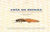 CRÍA DE REINAbibliotecadigital.agronet.gov.co/bitstream/11438/8806/1...La renovación de abejas reinas, es clave en la apicultura moderna, el objetivo, es mejorar la producción de