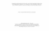 POSIBLES DESAFÍOS ÉTICOS DE LOS CONTADORES PÚBLICOS …bibliotecadigital.univalle.edu.co/bitstream/10893/14554/... · 2019-11-12 · Transformaciones de la Contabilidad: de la