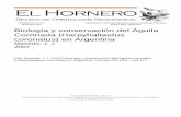 Biología y conservación del Águila Coronada (Harpyhaliaetus … · 2018-01-08 · 160 MACEDA Hornero 22(2) Águila Coronada es una especie endémica del centro y sur de América