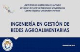 INGENIERÍA EN GESTIÓN DE REDES AGROALIMENTARIASscru.chapingo.mx/docs/IGRA_presentacion.pdf · 2020-02-19 · Marco contextual Su antecedente es la Licenciatura en Redes Agroalimentarias