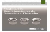 Módulo 19: Combinaciones de Negocios y Plusvalía · 2015-05-21 · Fundación IFRS: Material de formación sobre la NIIF para las PYMES que incluye el texto completo de la Sección