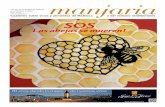 Las abejas se mueren! - Diario de Mallorca2 manjaria nº68. febrero 2016 portada SOS Las abejas se mueren! MARINA LLULLM ucho se rumo-rea que el céle-bre cientíﬁco Albert Einstein