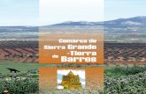 Sierra Grande Barrosredex.org/.../2017_03/19-sierra-grande-tierra-de-barros.pdfituada en el centro de la provincia de Badajoz y atravesada por la Vía de la Plata, resulta una región