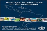 Alianzas Productivas en AgrocadenasDesarrollo Agrario del MINAG del Perú, por todas las facilidades brindadas para la ejecución del proyecto. Un particular agradecimiento al personal