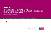 Estudio de Mercado Servicios Medio Ambientales en El Salvador · ambientales en México: caracterización preliminar y sinergias entre protección ambiental, desarrollo del mercado