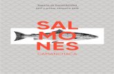 Reporte de Sostenibilidad 2017 y primer semestre 2018 SAL · 2018-11-14 · 100% Salmón del Atlántico (Salmo salar). Producción realizada total - mente en Chile, con abastecimien