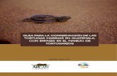 GUIA PARA LA CONSERVACIÓN DE LAS TORTUGAS MARINAS EN … · 2018-02-22 · Los tortugarios guatemaltecos son fundamentalmente comunitarios, pues la mayoría de los huevos incubados
