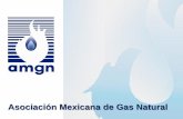 Asociación Mexicana de Gas Natural · Sector distribución gas natural: Infraestructura de más de 50 mil kilómetros de ductos Cerca de 2.5 millones de clientes Genera más de 5