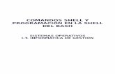 SISTEMAS OPERATIVOS I.T. INFORMÁTICA DE GESTIÓNlsi.vc.ehu.es/pablogn/docencia/manuales/Shell Bash... · comandos shell y programaciÓn en la shell del bash sistemas operativos i.t.