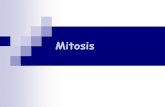 Mitosis - BIOTIEMPObiotiempo.weebly.com/uploads/9/4/5/8/94588683/mitosis_y... · 2019-10-08 · La división celular en plantas ocurre principalmente en lugares especializados llamados