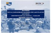 ESTUDIO DE LA CAPACIDAD MAXIMA DE LAS …...1997, establece que las playas del litoral de la República son bienes de uso público, inalienables e imprescriptibles. Situación que