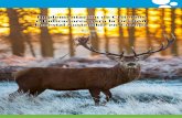 Implementación de Criterios e Indicadores para la Gestión Forestal Sostenible en … Library... · 2013-12-16 · 3 Implementación de Criterios e Indicadores para la Gestión Forestal
