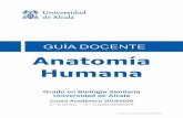 Anatomía Humana...3 1a. PRESENTACIÓN La Anatomía Humana se integra como asignatura básica del primer año de los estudios de grado en Ciencias Biosanitarias. Tiene asignados 6