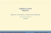 Álgebra Lineal Ma1010 - Teccb.mty.itesm.mx/ma1010/materiales/ma1010-06a.pdfUna matriz Am×nes un arreglo rectangular de m·nnúmeros en forma de mrenglones horizontales y ncolumnas
