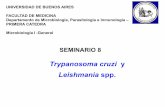 Trypanosoma cruzi y 8 2019... · Trypanosoma cruzi, Leishmania spp. y Tripanosomas africanos causan zoonosis vectoriales Kinetoplasto: estructura subcelular que contiene DNA mitocondrial