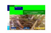 Daños en el arbolado de Castilla- La Mancha: Identificación de … · 2012-09-17 · afiloforales o del suelo), ... Una nutrición rica en potasio, por ejemplo, parece hacer disminuir