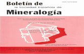 la Sociedad Española de Mineralogía - UPV/EHU · Boletín de la Sociedad Española de Mineralogía, 2002 ENE-DIC; 25 Índice Procesos de formación de mineralizaciones en sistemas