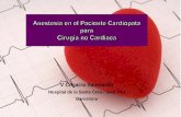 Hospital de la Santa Creu i Sant Pau Barcelona-Introducción-200 millones de intervenciones no cardíacas anuales. 10% con complicaciones perioperatorias. 0,8 – 1,5% mortalidad.