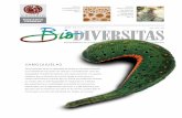 sanguijuelasbioteca.biodiversidad.gob.mx/janium/Documentos/6486.pdf · 2018-02-02 · 2 Las sanguijuelas, al igual que los poliquetos y oligoquetos, pertenecen al filo annelida, que