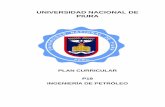 UNIVERSIDAD NACIONAL DE PIURA · 2019-03-28 · perfil actualizado que debe tener un futuro Ingeniero de Petróleo, es decir un perfil que sea sintético, claro, realista y tenga