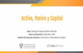 Activo, Pasivo y Capitalbiblioteca.udgvirtual.udg.mx/jspui/bitstream/123456789/3044/1/Activo_Pasivo_Capital.pdfLos conceptos de “Activo,pasivo y capital”en su conjunto integran
