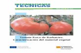 UNIÓN EUROPEA - cita-aragon.escitarea.cita-aragon.es/citarea/bitstream/10532/1850/1/... · 2017-11-28 · 2 Introducción Actualmente, el mercado español de tomate se abastece en