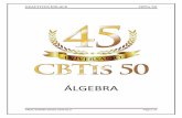 ÁLGEBRA - cbtis50.edu.mxcbtis50.edu.mx/Cuadernillo PLANEA BUCIO-37-84.pdf · REACTIVOS ENLACE CBTis 50 PROF: RAMIRO BUCIO CASTILLO Página 38 1.- ¿Cuál es la expresión algebraica