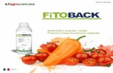 Ficha Técnica fagro.com.mx FITO BACK Bactericida-Fungicida ... · Fitoback es un producto con actividad fungicida y bactericida a base de extractos vegetales de origen completamente