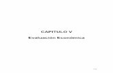 CAPITULO V Evaluación Económica · 2011-01-17 · 116 Costo de Capital no Propio = % de aportación x tasa activa bancaria = 0.40 x 0.115 = 0.046 = 4.6% Sumando ambos resultados