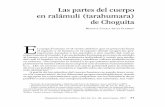 Las partes del cuerpo en ralámuli (tarahumara) de ChoguitaDimensión AntropológicA, Año 24, Vol. 69, enero/Abril, 2017 71 Las partes del cuerpo en ralámuli (tarahumara) de Choguita