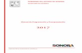 Manual de Programación y Presupuestación · Capítulo 7000 Inversiones financieras y Otras Provisiones Cronograma de Actividades Glosario de Términos Catálogos Presupuestales
