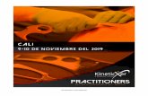 KineticXer Practitioners Cali - Programa Nov 9-10kineticxer.com/wp-content/uploads/2019/09/KineticXer... · 2019-09-06 · • Aplicaciones y procedimientos con KineticXer: Manthis®,