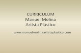 CURRICULUM Manuel Molina Artista Plástico · 2019-12-27 · Molina es un artista que vive entre las contradicciones de la luz y de la sombra, de los elementos que hacen su obra,