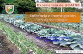 Docencia e Investigación en Agroecología · Entomología aplicada Fitopatología aplicada Capacitaciones y Educación continua Escuelas de campo Buenas prácticas agrícolas Agricultura