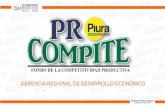 Presentación de PowerPoint · 2018-10-25 · Piura REGIÓN GOBIERNO REGIONAL PIURA 2015 – 2018 REYNALDO HILBCK GUZMAN GOBERNADOR REGIONAL •El PROCOMPITE Regional, busca mejorar