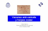 Vacunas anti-varicela y herpes zoster · Impacto de la enfermedad • Varicela y herpes zoster se asocian a severas complicaciones • Complicaciones en 4,0-5,5% (sanos) • Infección