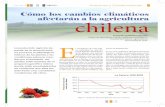 Cómo los cambios climáticos afectarán a la agricultura chilena · los climas de Chile y el mundo. Cambios del clima chileno durante los años 1900-2000 Durante el siglo XX, el