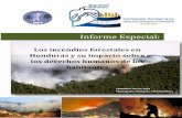 Informe Especial - app.conadeh.hnapp.conadeh.hn/descargas/InformesEspeciales/Inform... · Informe Especial: Los incendios forestales en Honduras y su impacto sobre los derechos humanos