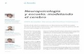 Neuropsicología y escuela: modelando el cerebro · trado en el impacto de la microbiota en el sistema nervio-so central adulto (a través del denominado eje intestino-cerebro). Sin