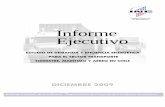 Informe Ejecutivo Tranporte - CNEdataset.cne.cl/Energia_Abierta/Estudios/CNE/Informe Ejecutivo Tranporte.pdf · de las personas públicas y privadas, la información y antecedentes