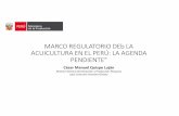 MARCO REGULATORIO DEb LA ACUICULTURA EN EL PERÚ: LA … · Desarrollo de la Acuicultura” para el periodo 2012 – 2016” • Garantizar el cumplimiento de las políticas sectoriales