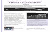 · 2018-12-18 · Glaucoma facolítico: manejo médico- quirúrgico. A propósito de un caso Banderas-García S, Azarfane B, Aragón-Roca D, Garrell-Salat X, Trejo-Velasco F, Rigo