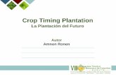 Crop Timing Plantation - augura.com.co · Fertiriego. Etapas de Implementación 5. Cosecha/resiembra. Etapas de Implementación 5. Cosecha/resiembra. Ventajas Principales de Cosecha