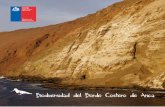 Biodiversidad del Borde Costero de Arica - Foto Naturaleza · 2012-05-05 · nuestro borde costero es muy llamativa, destacando aves, reptiles e invertebrados. En general, la diversidad