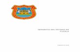 SEPARATA DEL ESTADO DE PUEBLAarchivos.diputados.gob.mx/Centros_Estudio/UEC/docs/estados/2016/3/PUEBLA.pdfpuntual, de la panorámica socio-económica y de la situación presupuestal