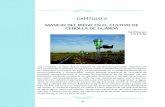 03 Cap 2 Manejo del riego en el cultivo de cebolla de guardaproyecto-cebolla.cl/wp-content/uploads/2017/05/03... · franco arcilloso, corresponde a un 25% y la densidad aparente del