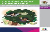 La silvicultura - PAOTcentro.paot.org.mx/documentos/conafor/Silvicultura... · 2013-05-02 · que a la silvicultura, y, segundo, porque las políticas forestales le dan prioridad